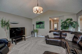 Photo 33: 489 Sandy Beach Cove: Chestermere Detached for sale : MLS®# A2059750
