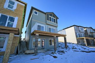 Photo 38: 28 Cornerbrook Cove NE in Calgary: Cornerstone Detached for sale : MLS®# A2051748