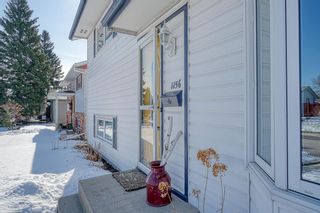 Photo 38: 1156 Penrith Crescent SE in Calgary: Penbrooke Meadows Detached for sale : MLS®# A1207956