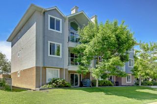 Photo 28: 305 3501 15 Street SW in Calgary: Altadore Apartment for sale : MLS®# A2015859