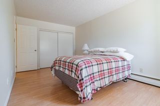 Photo 15: 101 111 14 Avenue SE in Calgary: Beltline Apartment for sale : MLS®# A1225571