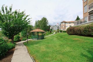 Photo 25: 318 22611 116 Avenue in Maple Ridge: East Central Condo for sale in "ROSEWOOD COURT-FRASERVIEW" : MLS®# R2882360