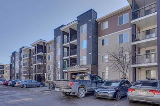 Main Photo: 216 7130 80 Avenue NE in Calgary: Saddle Ridge Apartment for sale : MLS®# A2116521