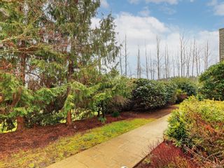 Photo 64: 6480 Torin Rd in Central Saanich: CS Brentwood Bay House for sale : MLS®# 927399