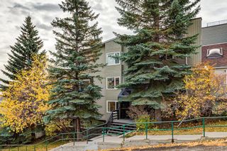 Photo 1: 204 333 2 Avenue NE in Calgary: Crescent Heights Apartment for sale : MLS®# A1039174