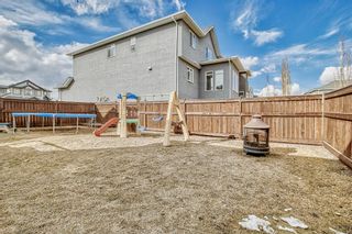 Photo 37: 204 Sandpiper Boulevard: Chestermere Detached for sale : MLS®# A2039534