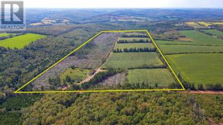 Photo 1: St Patricks Road|Route 266 in New Glasgow: Vacant Land for sale : MLS®# 202320176