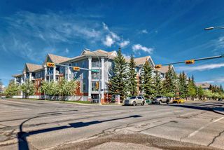 Photo 49: 335 8535 Bonaventure Drive SE in Calgary: Acadia Apartment for sale : MLS®# A2131561