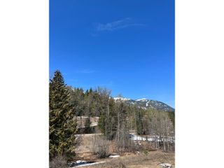 Photo 18: 201 JOLIFFE WAY in Rossland: Vacant Land for sale : MLS®# 2475917