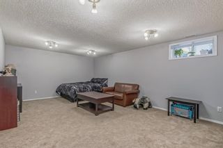 Photo 29: 199 Lakeview Cove: Chestermere Detached for sale : MLS®# A2037328