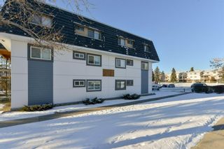 Photo 6: 2301 3115 51 Street SW in Calgary: Glenbrook Apartment for sale : MLS®# A1167123