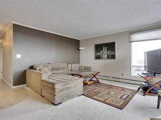 Photo 11: 225 25 Avenue SW Unit#1101 in Calgary: Mission Residential for sale ()  : MLS®# C3606462