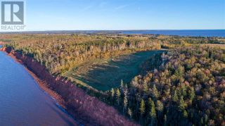 Photo 3: Acreage Point Prim Road in Point Prim: Vacant Land for sale : MLS®# 201901832