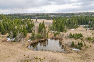 Photo 28: 64049 (A&B) Highway 54: Rural Clearwater County Agriculture for sale : MLS®# A1209840