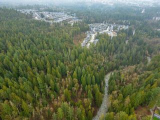 Photo 22: 13800 236 Street in Maple Ridge: Silver Valley Land for sale in "Forest Hamlet Eco Cluster Silver Valley" : MLS®# R2853658
