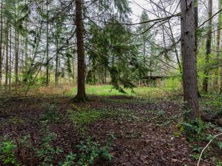 Photo 33: 24115 FERN Crescent in Maple Ridge: Silver Valley Land for sale : MLS®# R2872512