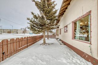 Photo 37: 1301 40 Street SE in Calgary: Forest Lawn Detached for sale : MLS®# A2022728
