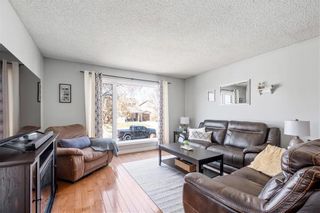 Photo 10: 47 Highgate Crescent in Winnipeg: River Park South Residential for sale (2F)  : MLS®# 202310270