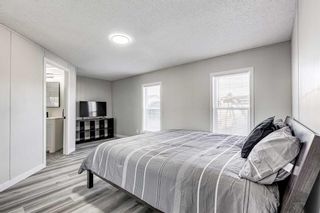 Photo 11: 291 6220 17 Avenue SE in Calgary: Red Carpet Mobile for sale : MLS®# A2119335