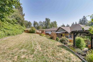 Photo 19: 22777 HOLYROOD Avenue in Maple Ridge: East Central House for sale in "GREYSTONE" : MLS®# R2324417