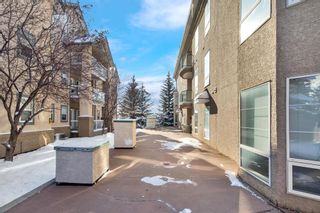 Photo 36: 306 15204 Bannister Road SE in Calgary: Midnapore Apartment for sale : MLS®# A2031067