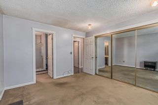 Photo 23: 36 Templeson Road NE in Calgary: Temple Detached for sale : MLS®# A2050364