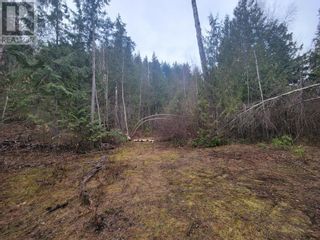 Photo 6: 28 Gardom Lake Road in Enderby: Vacant Land for sale : MLS®# 10277294
