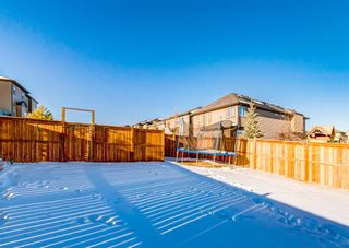 Photo 45: 264 Nolanshire Point NW in Calgary: Nolan Hill Detached for sale : MLS®# A2011624