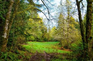 Photo 26: 1645 Thain Rd in Cobble Hill: ML Cobble Hill Land for sale (Malahat & Area)  : MLS®# 901540
