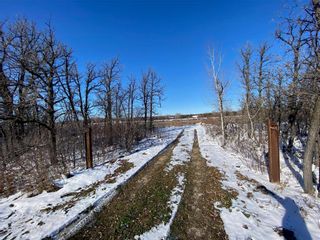 Photo 10: 0 Henderson Highway in St Clements: Vacant Land for sale : MLS®# 202329778