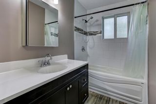 Photo 21: 74 32 WHITNEL Court NE in Calgary: Whitehorn Row/Townhouse for sale : MLS®# A1016839