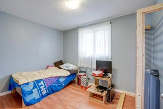 Photo 14: 3053 29A Street SE in Calgary: Dover Detached for sale : MLS®# A2042265