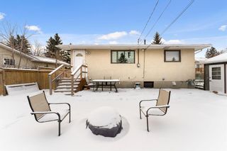 Photo 25: 532 Blackthorn Green NE in Calgary: Thorncliffe Detached for sale : MLS®# A1169661