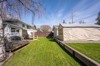 Photo 18: 5920 Thornton Road NW in Calgary: Thorncliffe Detached for sale : MLS®# A2131474