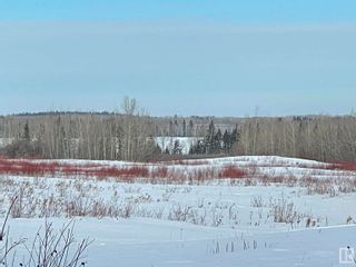 Photo 6: TWP RD 613A RGE RD 234: Rural Westlock County Rural Land/Vacant Lot for sale : MLS®# E4276161