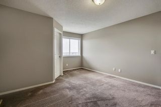 Photo 24: 51 Skyview Springs Cove NE in Calgary: Skyview Ranch Detached for sale : MLS®# C4186074