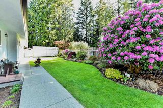 Photo 4: 3566 198A STREET in Langley: Brookswood Langley House for sale : MLS®# R2069768
