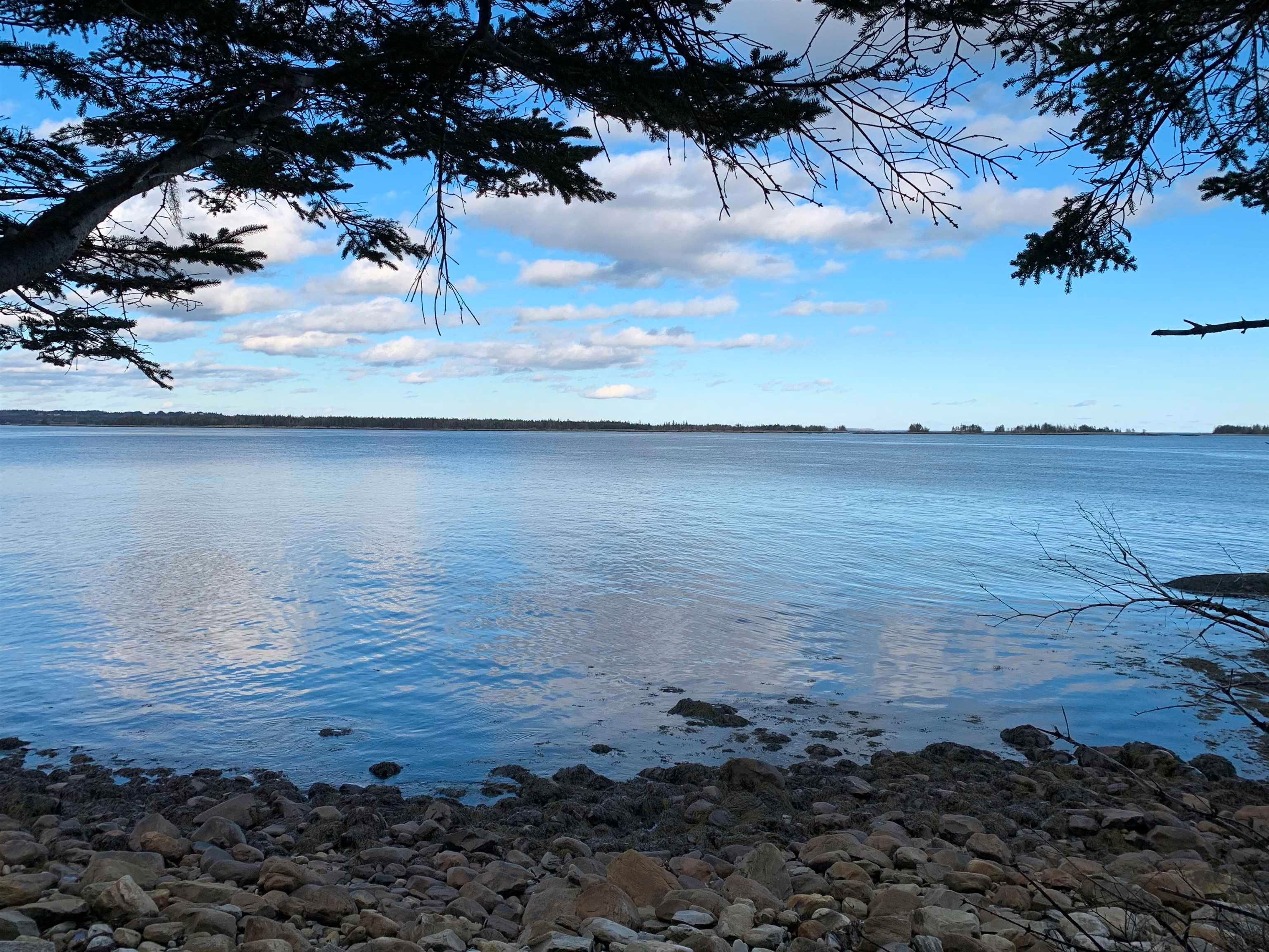 Main Photo: Lot 201 Long Cove Road in Port Medway: 406-Queens County Vacant Land for sale (South Shore)  : MLS®# 202202069