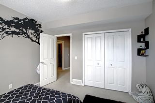 Photo 29: 250 Martinwood Place NE in Calgary: Martindale Detached for sale : MLS®# A1186078