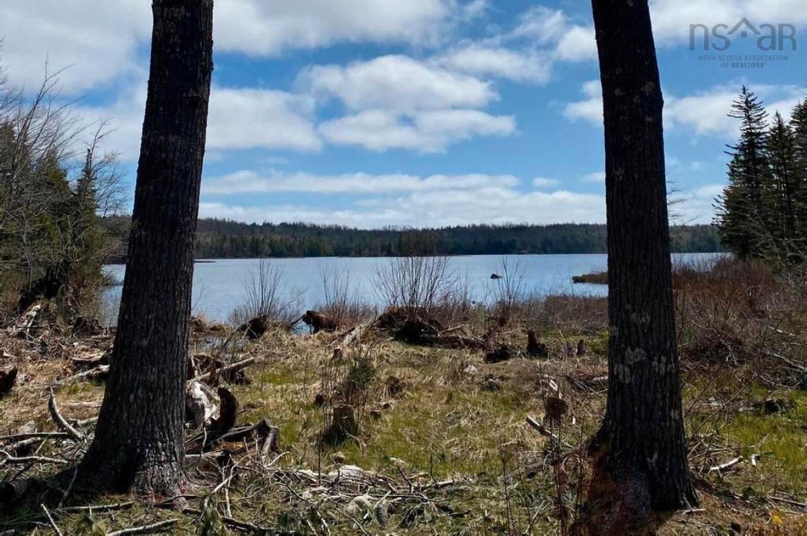 Main Photo: Lot 3 Black Duck Lake Road in East Dalhousie: Kings County Vacant Land for sale (Annapolis Valley)  : MLS®# 202302219