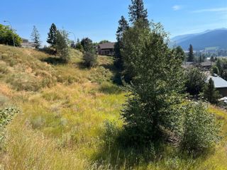 Photo 10: 1827 Mountain View Avenue, in Lumby: Vacant Land for sale : MLS®# 10261074
