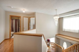 Photo 21: 100 MT COPPER Green SE in Calgary: McKenzie Lake Detached for sale : MLS®# A2041165