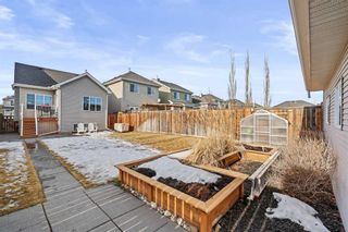 Photo 32: 38 Cougartown Circle SW in Calgary: Cougar Ridge Detached for sale : MLS®# A2105975