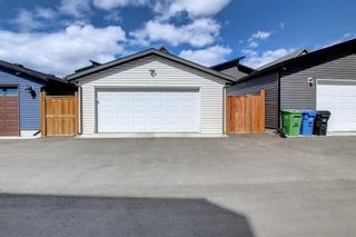 Photo 46: 198 Copperpond Street SE in Calgary: Copperfield Detached for sale : MLS®# A1205857