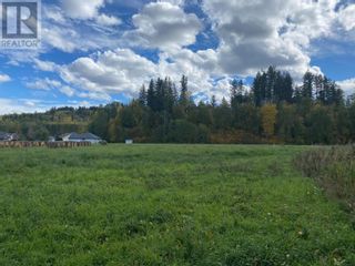 Photo 8: LOT A LOWE STREET in Quesnel: Vacant Land for sale : MLS®# C8046956