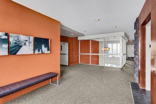 Photo 39: 339 2727 28 Avenue SE in Calgary: Dover Apartment for sale : MLS®# A2031901