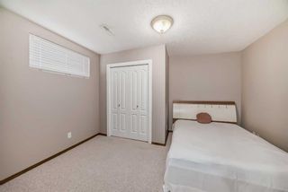 Photo 35: 55 Panorama Hills Point NW in Calgary: Panorama Hills Detached for sale : MLS®# A2120366
