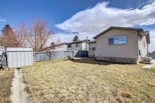 Photo 41: 120 Bernard Close NW in Calgary: Beddington Heights Detached for sale : MLS®# A1205413
