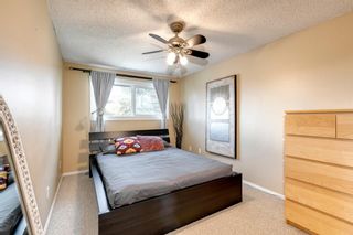 Photo 16: 100S 203 Lynnview Road SE in Calgary: Ogden Row/Townhouse for sale : MLS®# A1218027