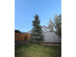 Photo 17: 114 ELDORADO Road SE: Airdrie Residential Detached Single Family for sale : MLS®# C3580200